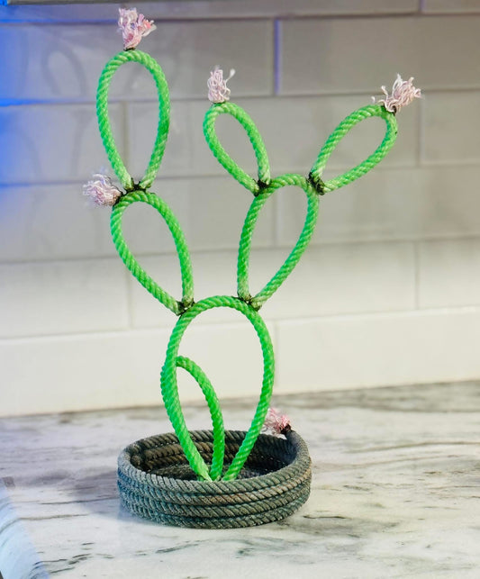 Lariat Rope Cactus (Cowgirl Catch-all)